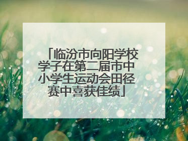 临汾市向阳学校学子在第二届市中小学生运动会田径赛中喜获佳绩
